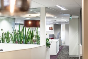 Office Fitout_Perth_Melbourne_8 Coolgardie Terrace Perth WA_HSU